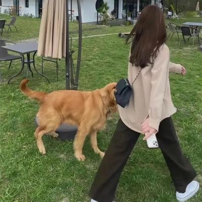 黑镜第四季