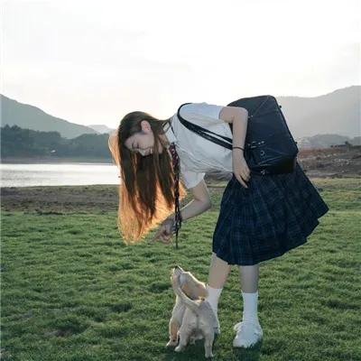 鬣狗之路